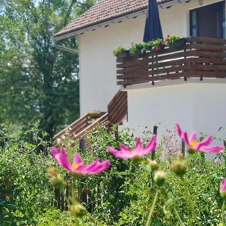 Apartment Murva Dreznik Grad Exterior photo