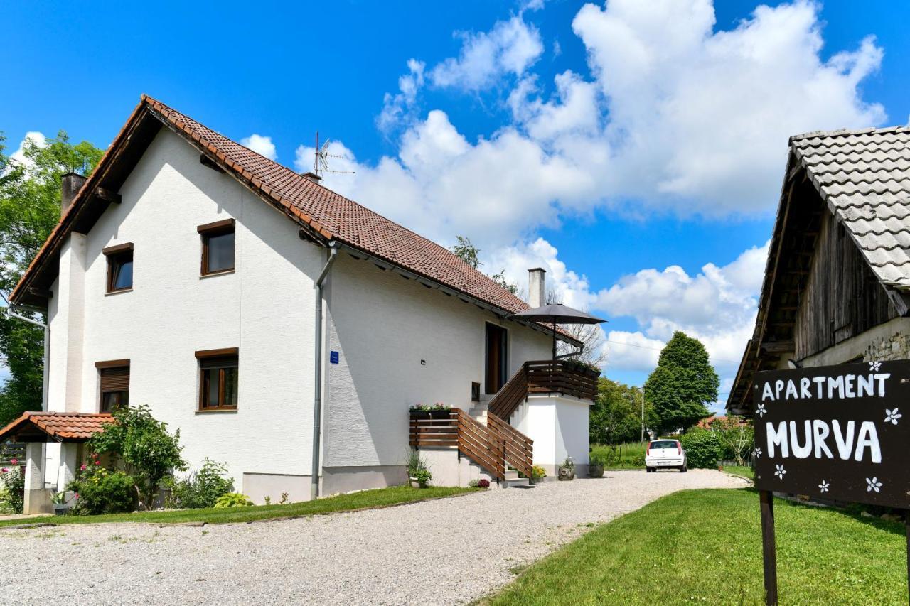 Apartment Murva Dreznik Grad